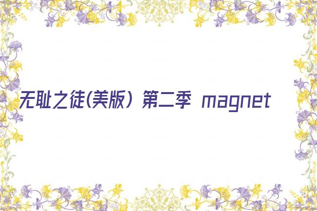 无耻之徒(美版) 第二季 magnet剧照